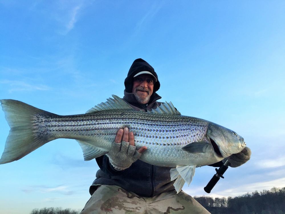 Sarges Bait and Tackle Chesapeake Bay Fishing Report