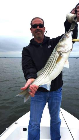 Sarges Bait and Tackle Chesapeake Bay Fishing Report - Stripers