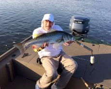 Sarge's Bait and Tackle Chesapeake Bay Fishing Report - Stripers